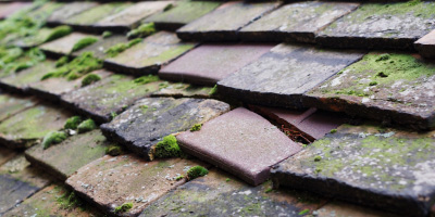 Cathays Park roof repair costs